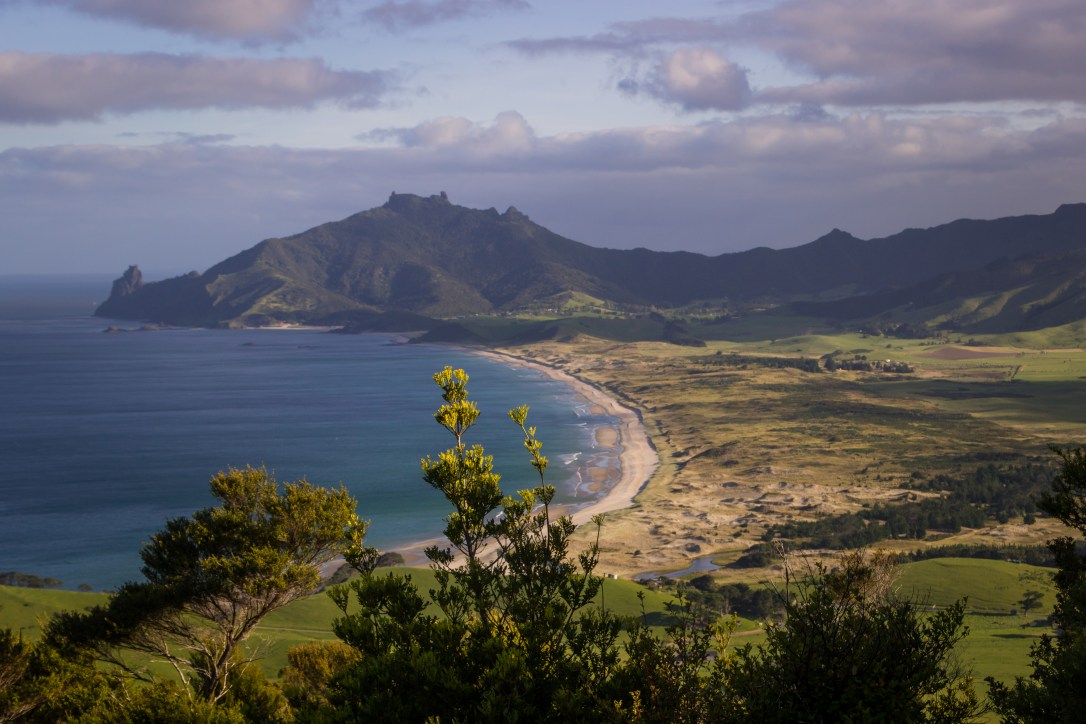 Kauri Mountain, Ocean Beach and Bream Head Bay Canon RAW (1)