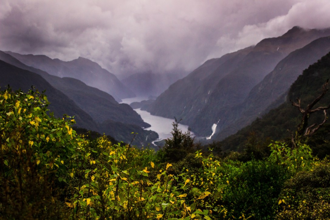 doubtful-sound-raw-35