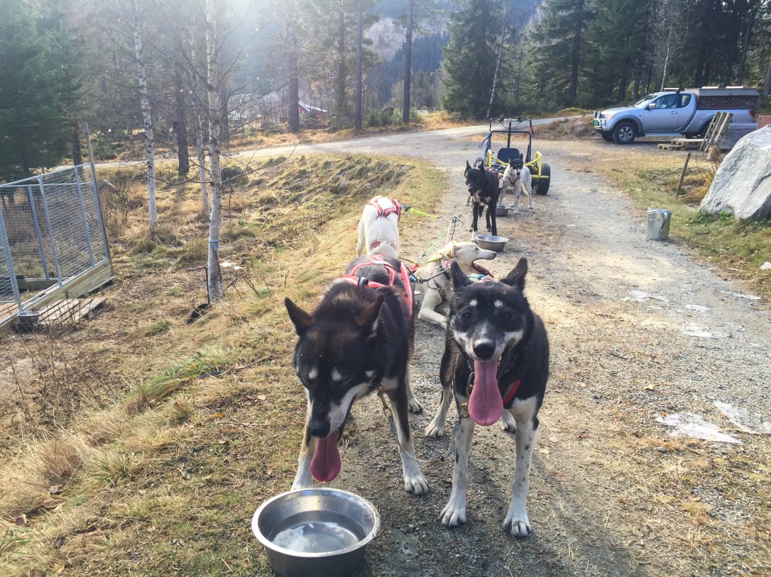 2019-10-28 12.46.02-2