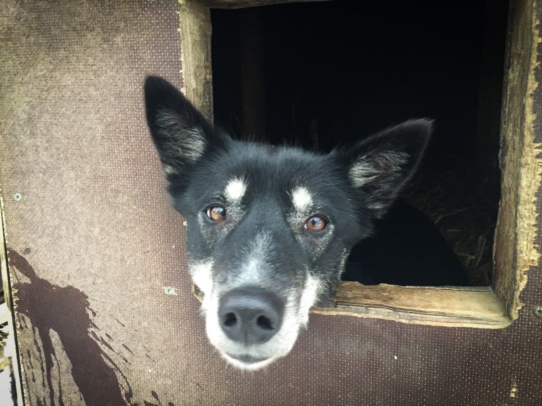 2019-11-09 14.23.54-1