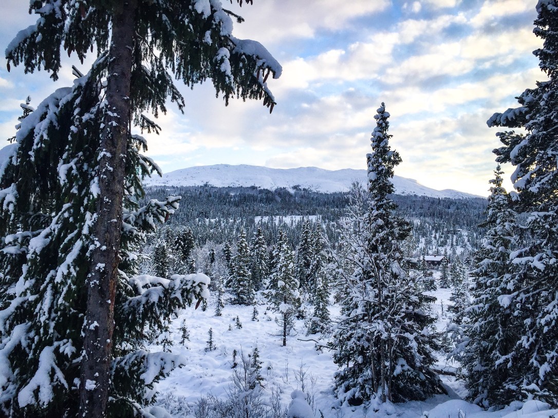 2019-11-17 14.53.34-2