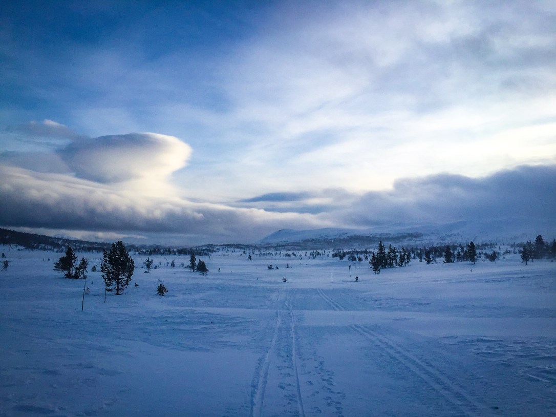 2020-01-05 13.09.07-2