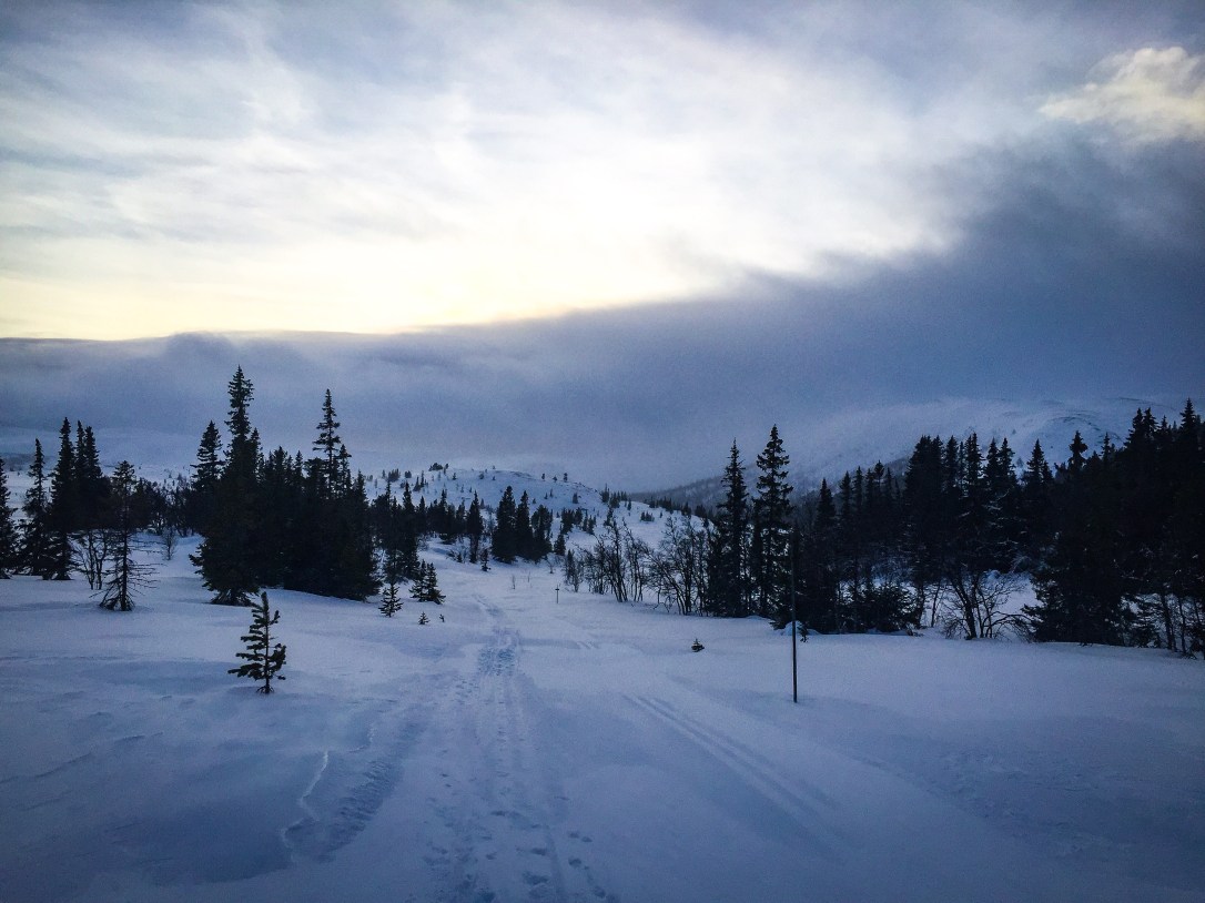 2020-01-05 13.18.58-2